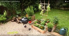 Un jardin de saveurs près du barbecue